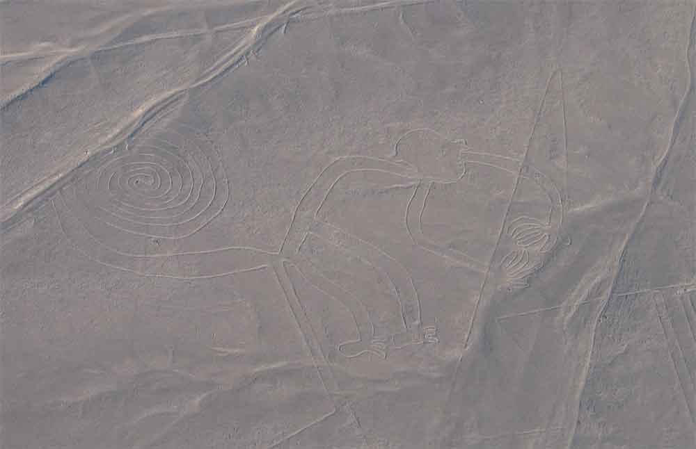 53 - Peru - Nazca, lineas, mono